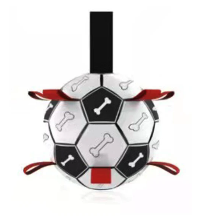 Jogo Interativo de Futebol para Estimular a Mente dos Cães