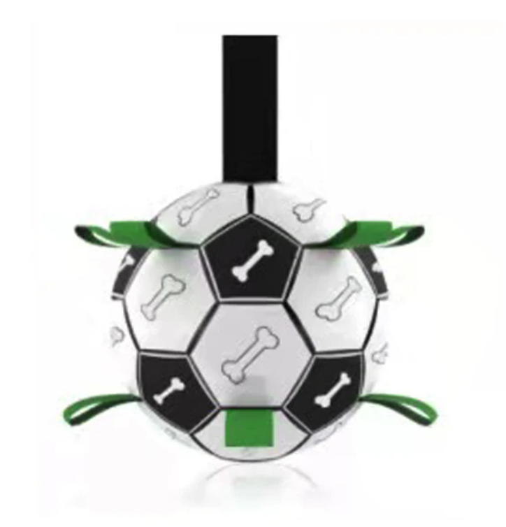 Jogo Interativo de Futebol para Estimular a Mente dos Cães