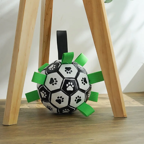 Jogo Interativo de Futebol para Estimular a Mente dos Cães