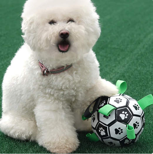 Jogo Interativo de Futebol para Estimular a Mente dos Cães