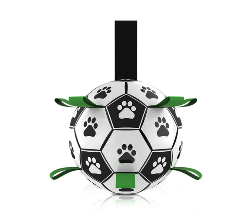 Jogo Interativo de Futebol para Estimular a Mente dos Cães