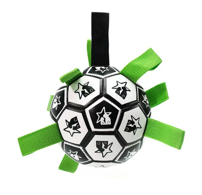 Jogo Interativo de Futebol para Estimular a Mente dos Cães