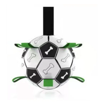 Jogo Interativo de Futebol para Estimular a Mente dos Cães