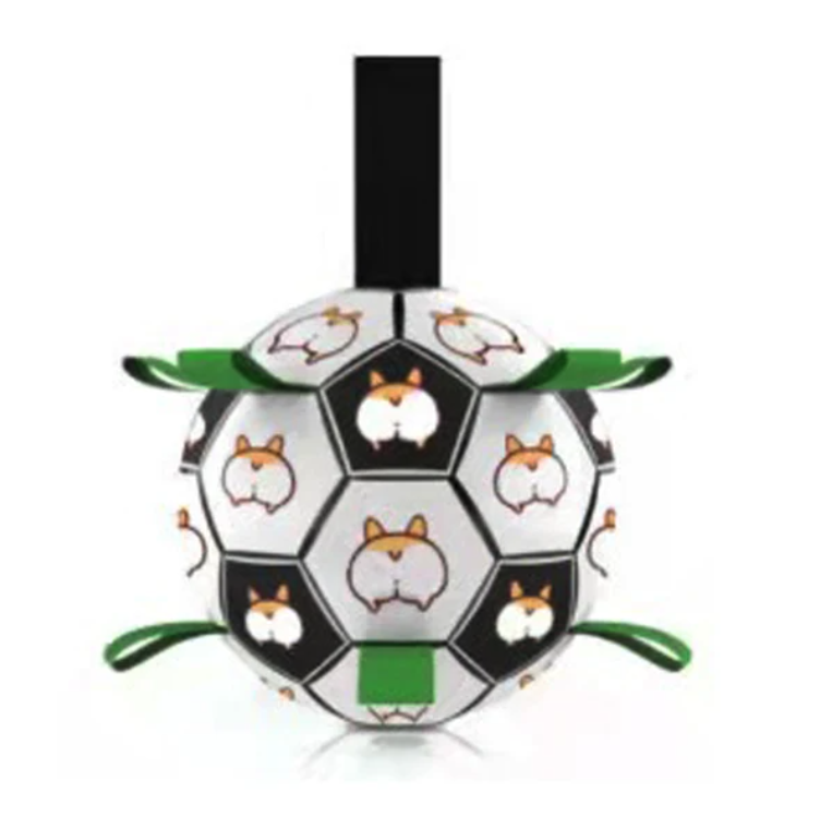 Jogo Interativo de Futebol para Estimular a Mente dos Cães