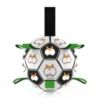 Jogo Interativo de Futebol para Estimular a Mente dos Cães