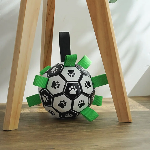 Jogo Interativo de Futebol para Estimular a Mente dos Cães