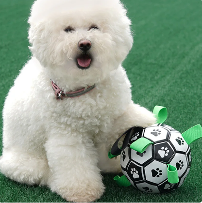 Jogo Interativo de Futebol para Estimular a Mente dos Cães