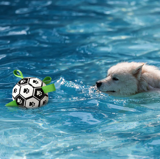 Jogo Interativo de Futebol para Estimular a Mente dos Cães