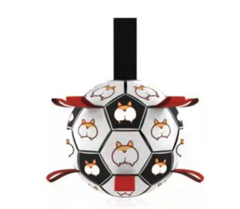 Jogo Interativo de Futebol para Estimular a Mente dos Cães
