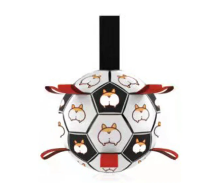 Jogo Interativo de Futebol para Estimular a Mente dos Cães