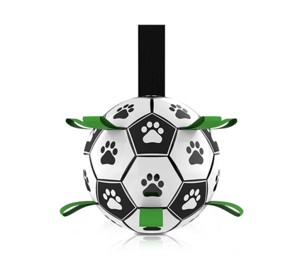 Jogo Interativo de Futebol para Estimular a Mente dos Cães