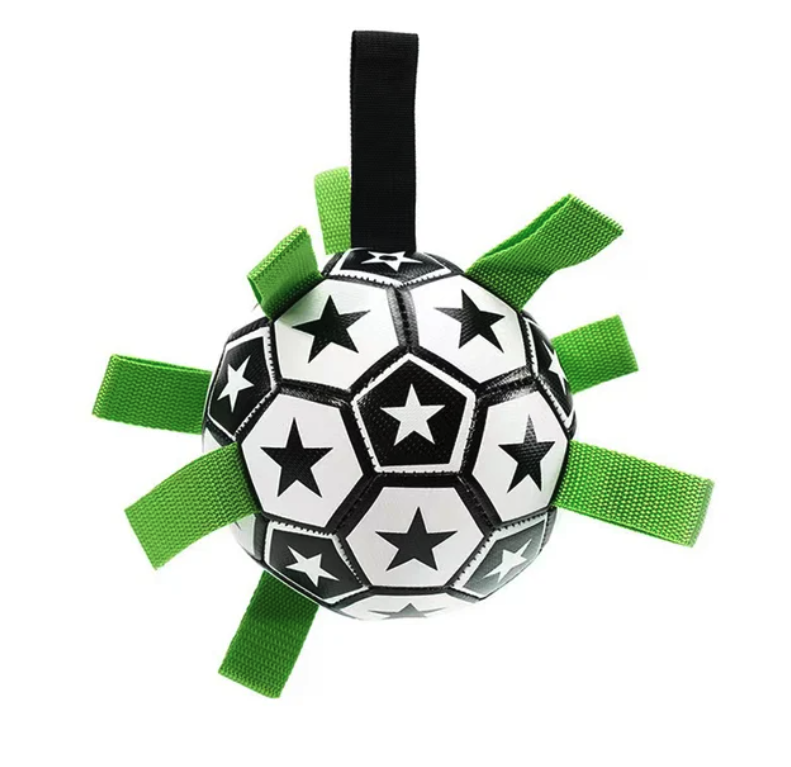 Jogo Interativo de Futebol para Estimular a Mente dos Cães