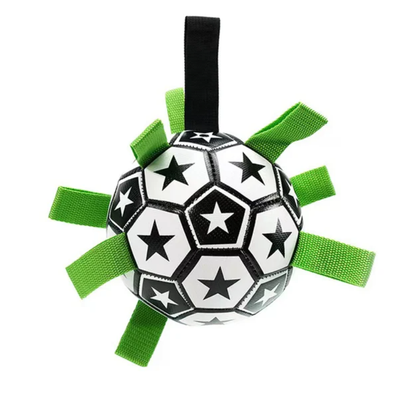Jogo Interativo de Futebol para Estimular a Mente dos Cães