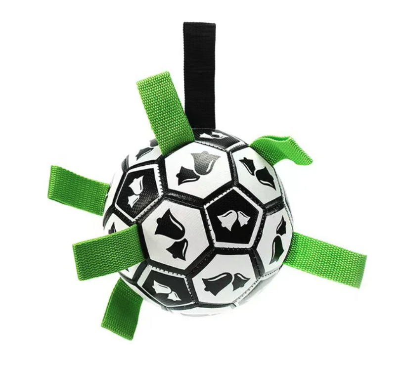 Jogo Interativo de Futebol para Estimular a Mente dos Cães