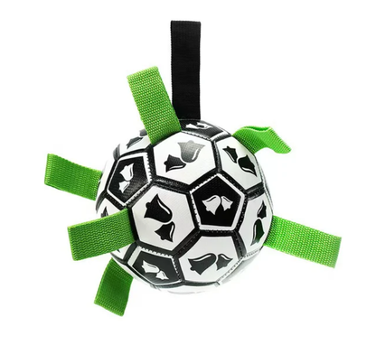 Jogo Interativo de Futebol para Estimular a Mente dos Cães